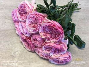 ROSE PACO RABANNE 50